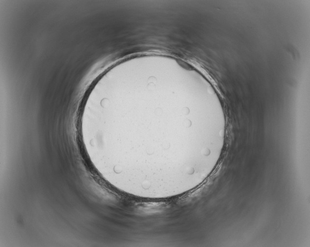 X0000111630151200908281142