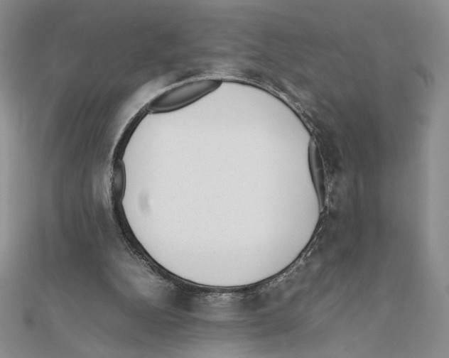 X0000111630152200908281142