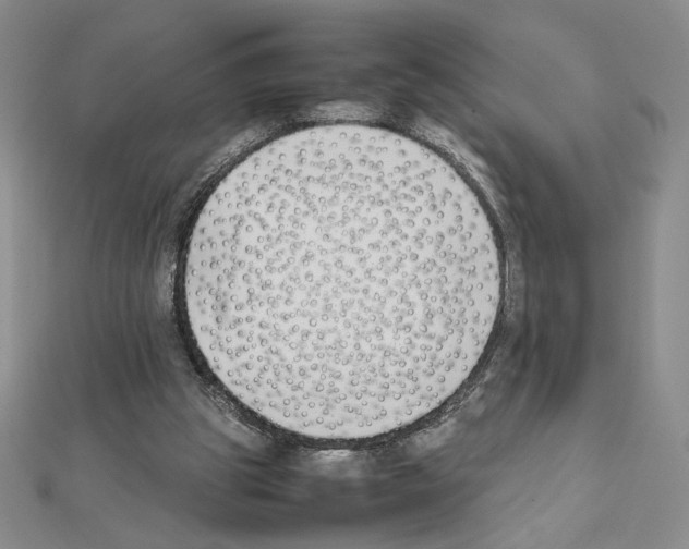 X0000111630153200908281142