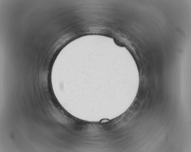X0000111630154200908281142