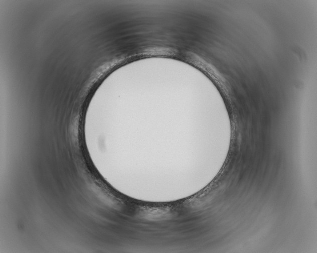 X0000111630155200908281142