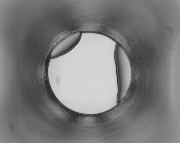 X0000111630156200908281142