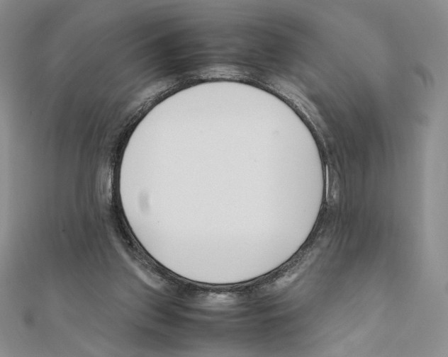 X0000111630157200908281142