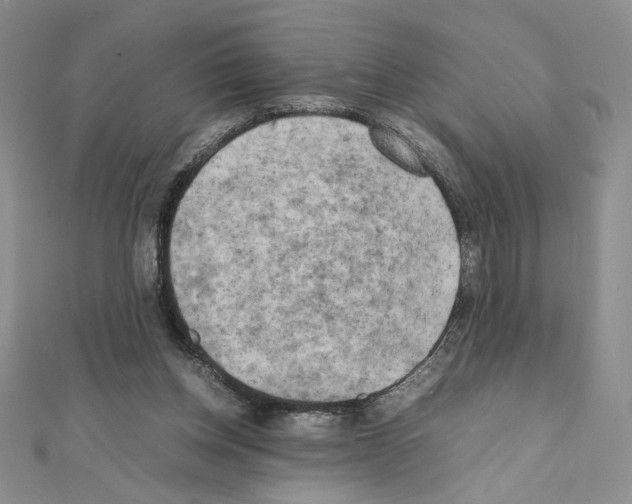 X0000111630158200908281142