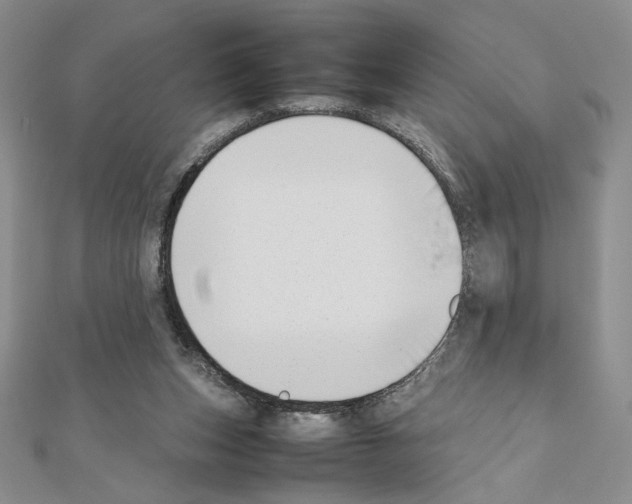 X0000111630159200908281142
