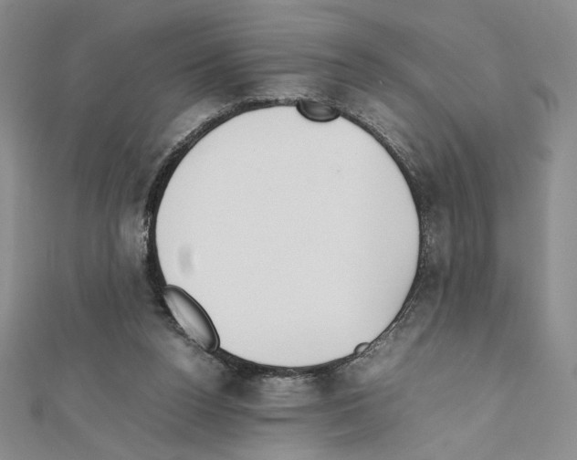 X0000111630160200908281142