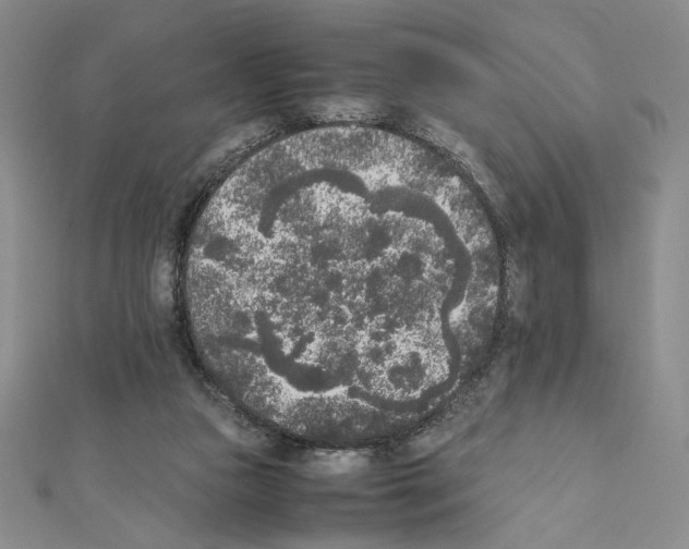 X0000111630161200908281142