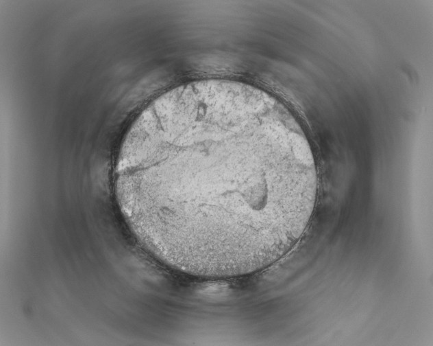 X0000111630162200908281142