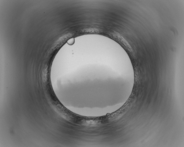 X0000111630163200908281142