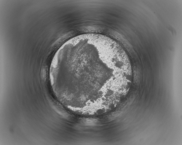 X0000111630165200908281142