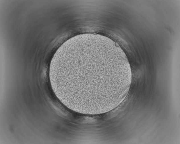 X0000111630166200908281142