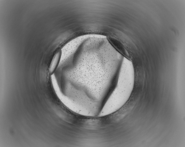 X0000111630168200908281142