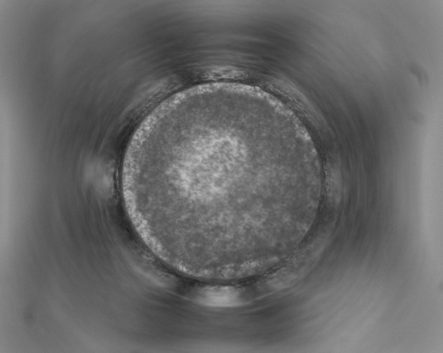 X0000111630169200908281143