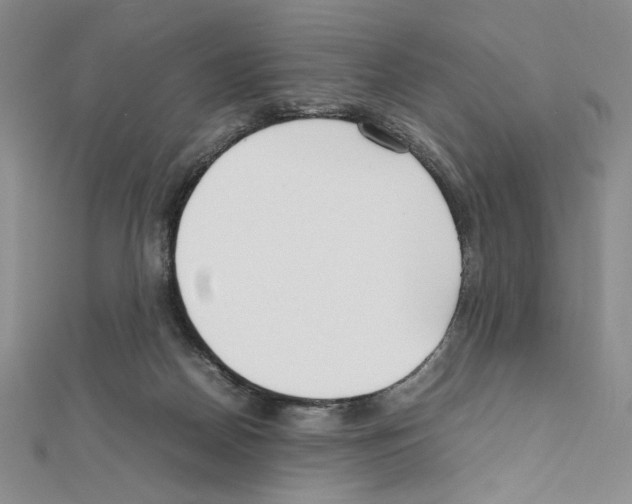 X0000111630170200908281143