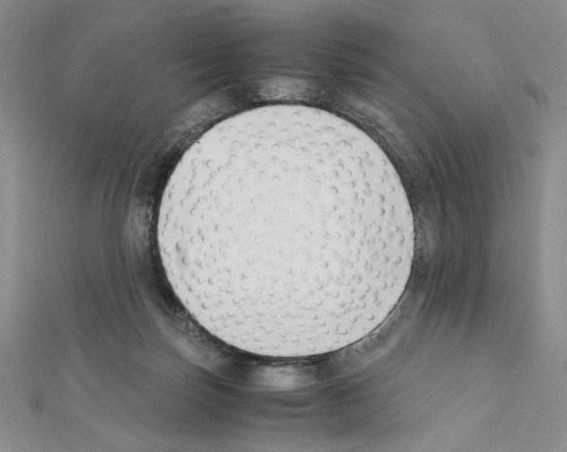 X0000111630171200908281143