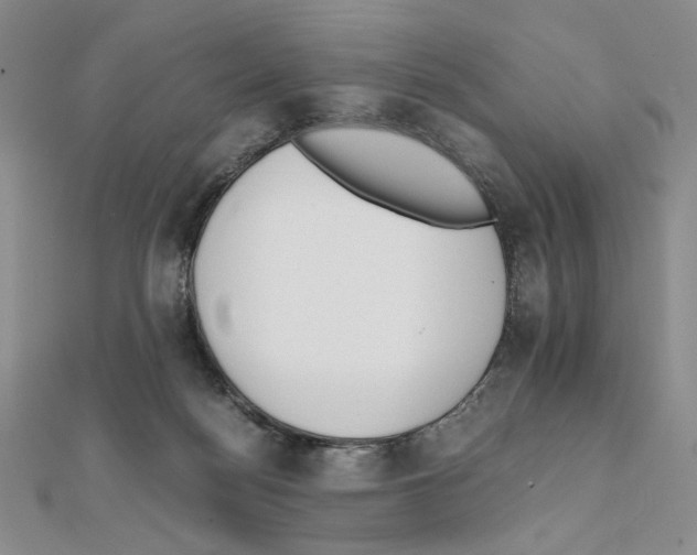 X0000111630172200908281143