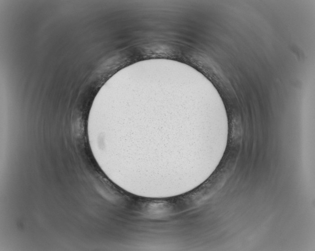 X0000111630173200908281143