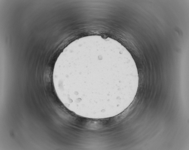 X0000111630174200908281143