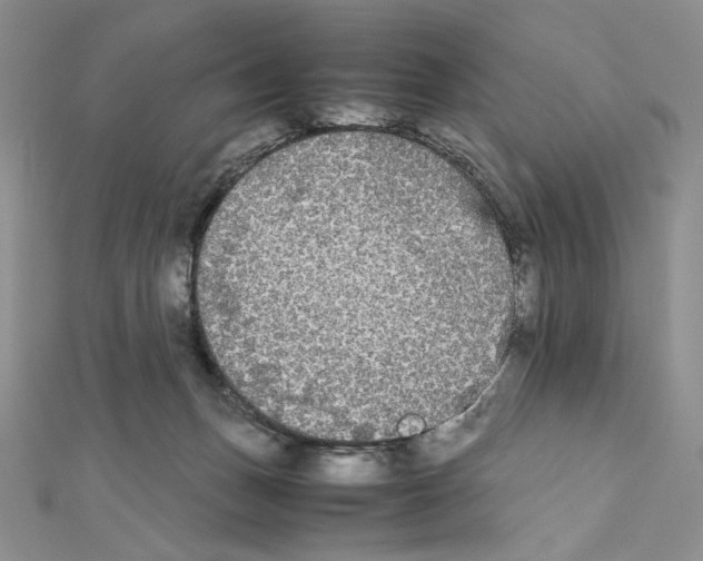 X0000111630175200908281143