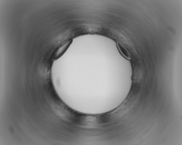 X0000111630176200908281143