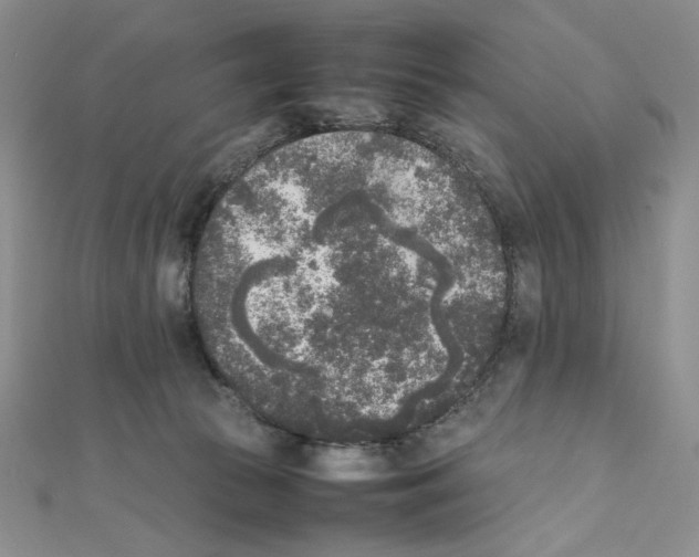 X0000111630177200908281143