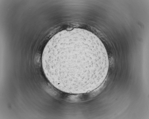 X0000111630178200908281143
