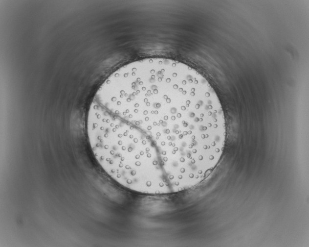 X0000111630179200908281143