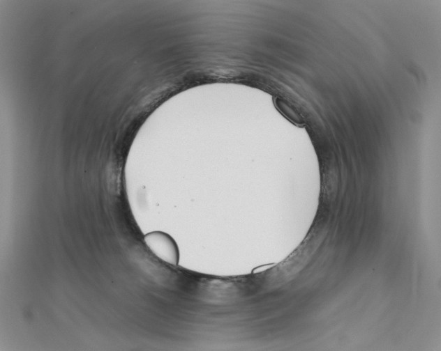 X0000111630180200908281143