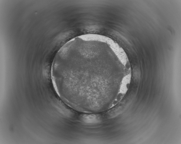 X0000111630181200908281143