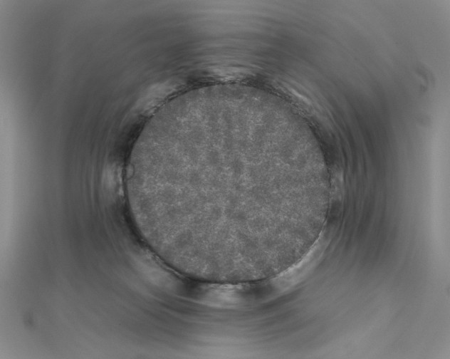 X0000111630182200908281143