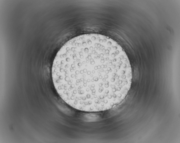 X0000111630183200908281143