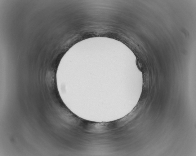 X0000111630184200908281143