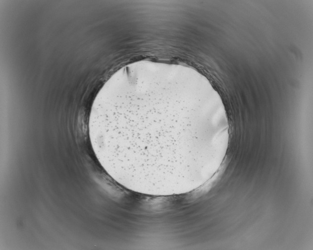 X0000111630186200908281143