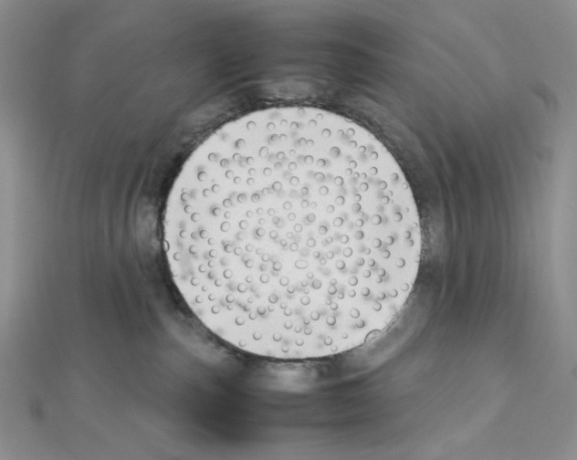X0000111630187200908281143