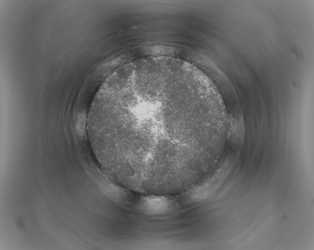 X0000111630189200908281143