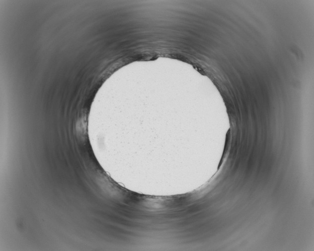 X0000111630190200908281143