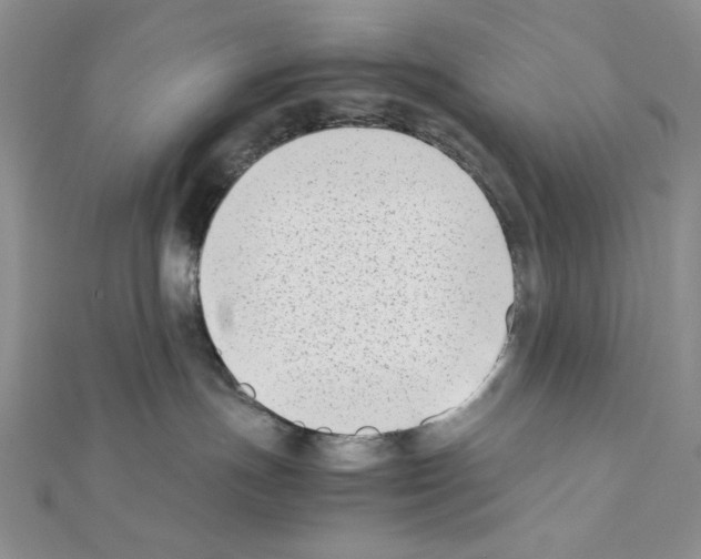 X0000111630191200908281143