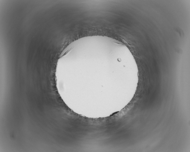X0000111630192200908281143