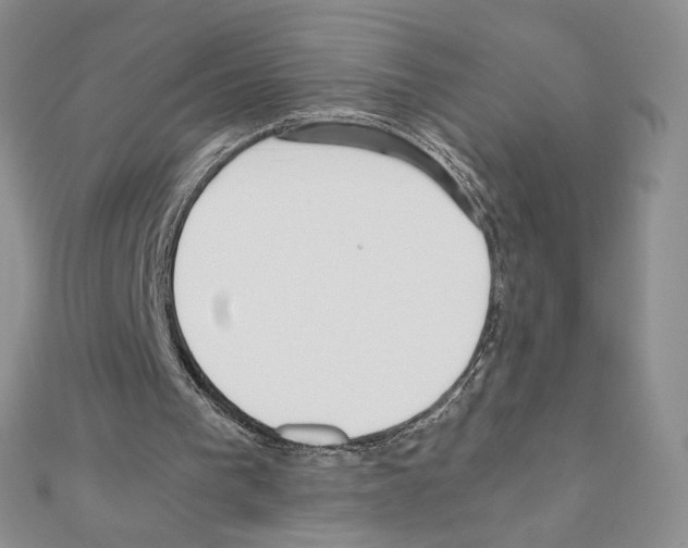 X0000111630193200908281142