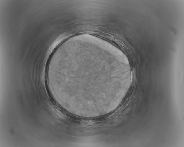 X0000111630195200908281142