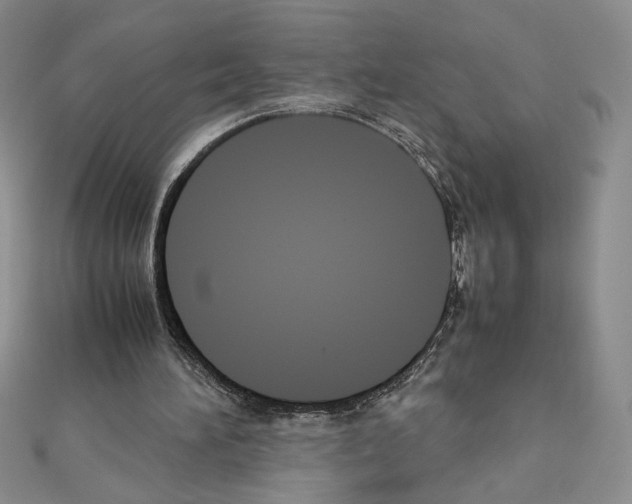 X0000111630196200908281142