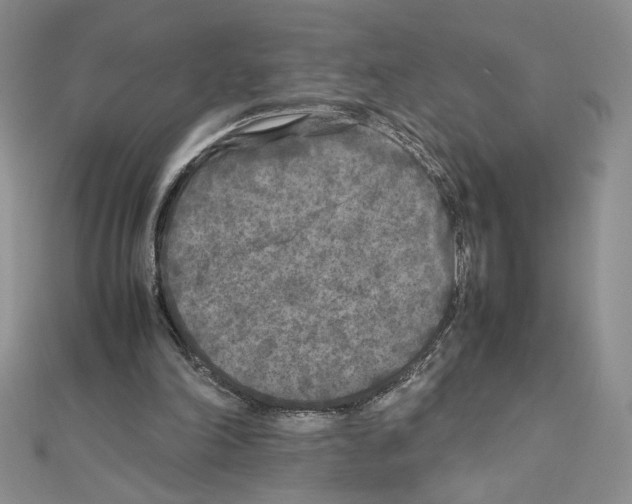 X0000111630198200908281142