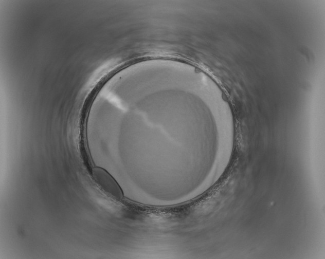 X0000111630199200908281142