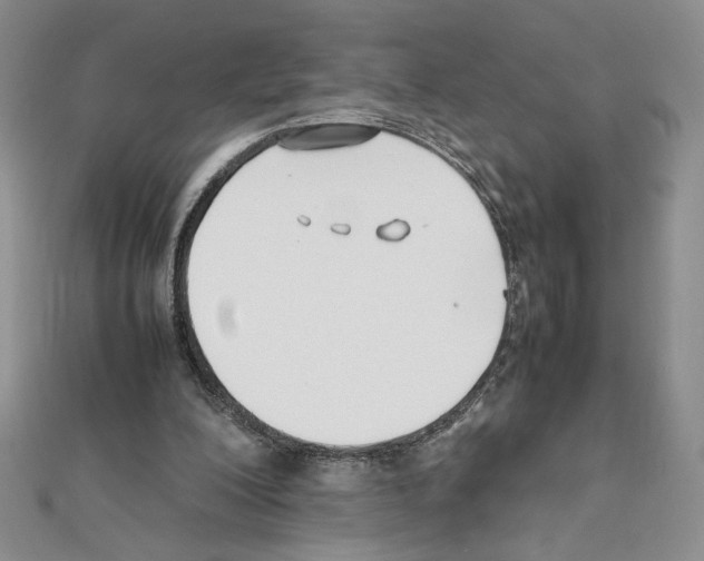 X0000111630200200908281142