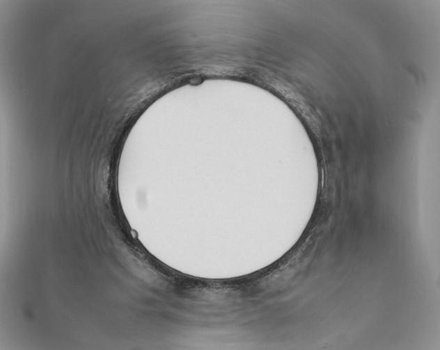 X0000111630201200908281142