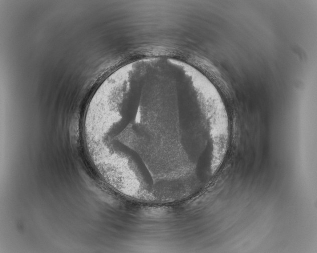X0000111630202200908281142