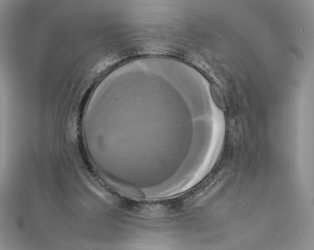 X0000111630203200908281142