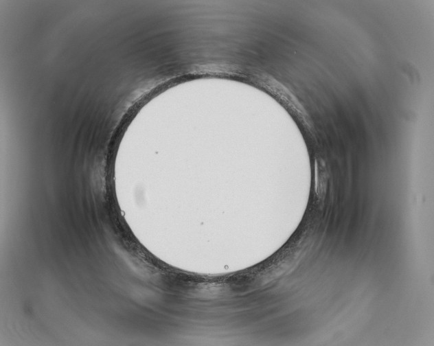 X0000111630204200908281142