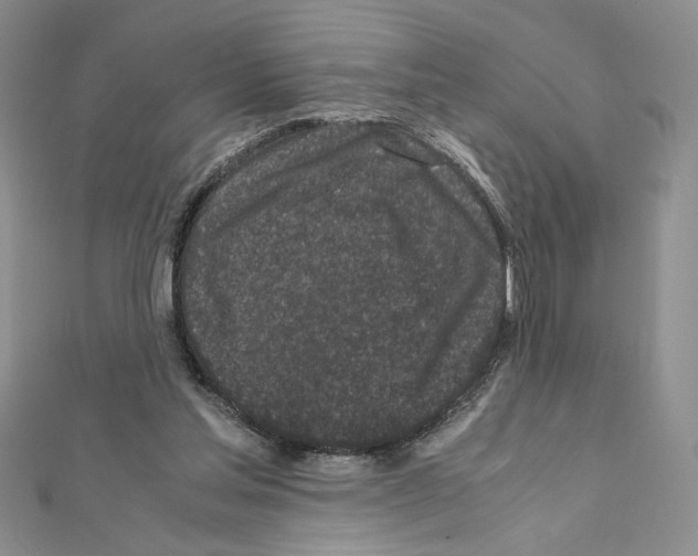 X0000111630205200908281142