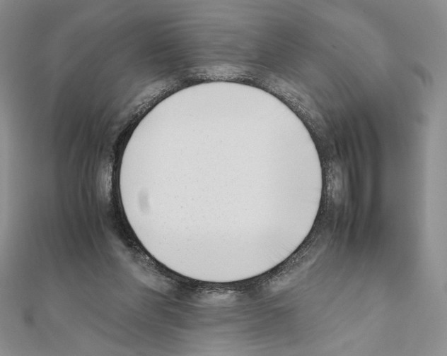 X0000111630206200908281142